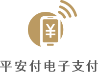 平安付電子支付品牌logo